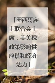 墨西哥雇主联合会主席：美关税政策影响供应链和经济活力