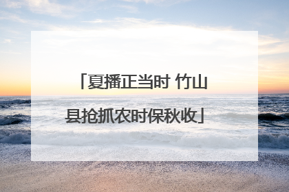 夏播正当时 竹山县抢抓农时保秋收