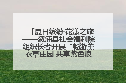 夏日缤纷·花漾之旅——溆浦县社会福利院组织长者开展“畅游薰衣草庄园 共享紫色浪漫”户外活动