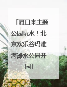 夏日来主题公园玩水！北京欢乐谷玛雅海滩水公园开园