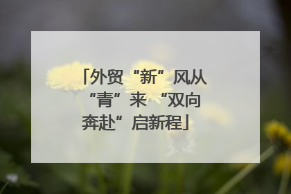 外贸“新”风从“青”来 “双向奔赴”启新程