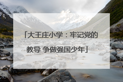 大王庄小学：牢记党的教导 争做强国少年