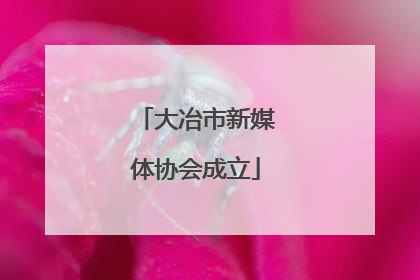 大冶市新媒体协会成立