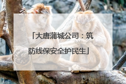 大唐蒲城公司：筑防线保安全护民生