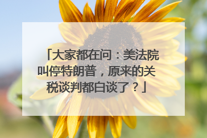 大家都在问：美法院叫停特朗普，原来的关税谈判都白谈了？