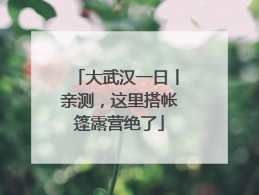 大武汉一日丨亲测，这里搭帐篷露营绝了