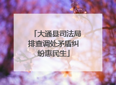 大通县司法局排查调处矛盾纠纷惠民生
