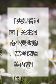 央媒看河南｜关注河南小麦收购、高考保障等内容