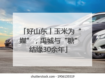 好山东丨玉米为“媒”，禹城与“糖”结缘30余年
