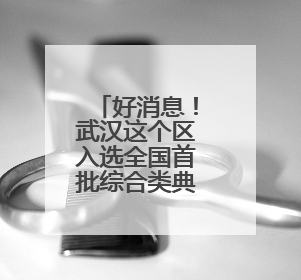 好消息！武汉这个区入选全国首批综合类典型案例