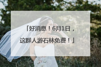 好消息！6月1日，这群人游石林免费！