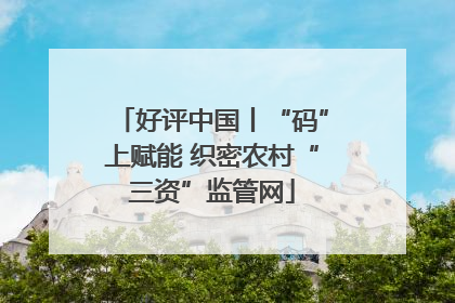 好评中国丨“码”上赋能 织密农村“三资”监管网