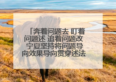 奔着问题去 盯着问题述 追着问题改 宁夏坚持将问题导向效果导向贯穿述法工作始终
