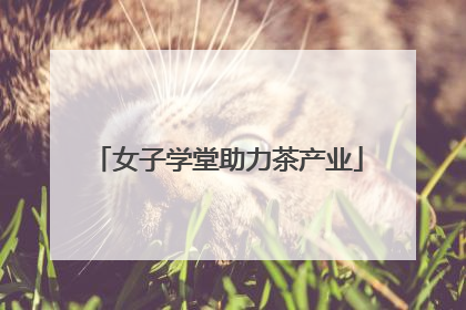 女子学堂助力茶产业