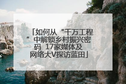 如何从“千万工程”中解锁乡村振兴密码  17家媒体及网络大V探访蓝田