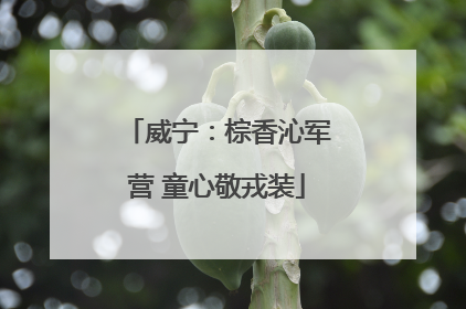 威宁：棕香沁军营 童心敬戎装
