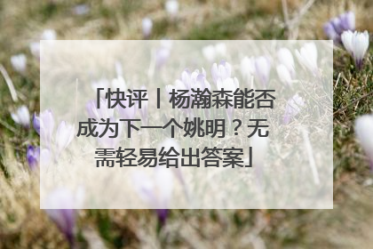 快评丨杨瀚森能否成为下一个姚明？无需轻易给出答案