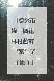 德兴市绕二镇花林村蓝莓“紫”了（图）
