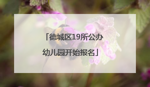 德城区19所公办幼儿园开始报名