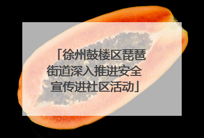 徐州鼓楼区琵琶街道深入推进安全宣传进社区活动