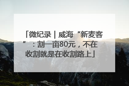 微纪录｜威海“新麦客”：割一亩80元，不在收割就是在收割路上