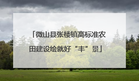 微山县张楼镇高标准农田建设绘就好“丰”景