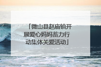 微山县赵庙镇开展爱心妈妈蓄力行动集体关爱活动