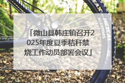 微山县韩庄镇召开2025年度夏季秸秆禁烧工作动员部署会议