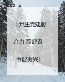 尹庄党建凝合力 联建议事促振兴
