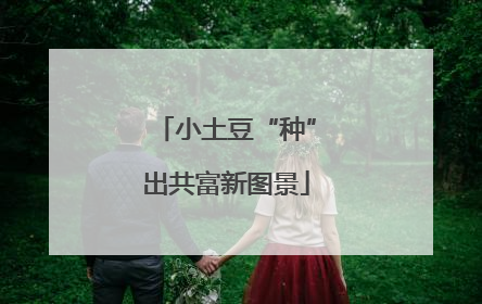 小土豆“种”出共富新图景