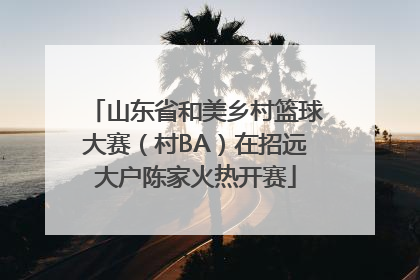 山东省和美乡村篮球大赛（村BA）在招远大户陈家火热开赛