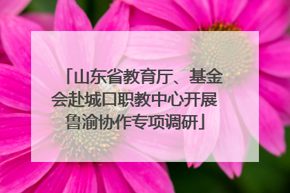 山东省教育厅、基金会赴城口职教中心开展鲁渝协作专项调研