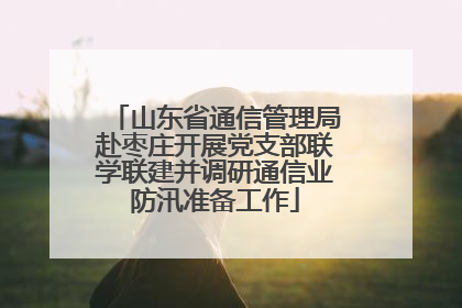 山东省通信管理局赴枣庄开展党支部联学联建并调研通信业防汛准备工作