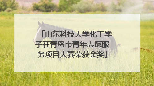 山东科技大学化工学子在青岛市青年志愿服务项目大赛荣获金奖