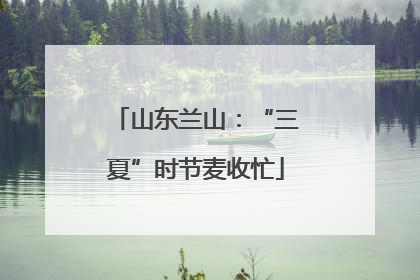 山东兰山：“三夏”时节麦收忙
