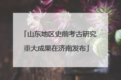 山东地区史前考古研究重大成果在济南发布