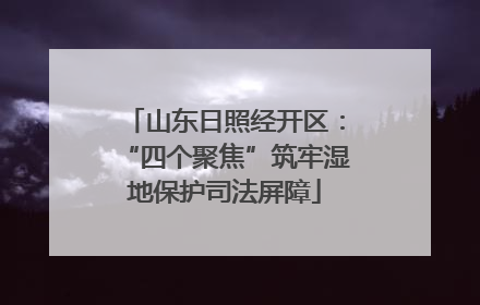 山东日照经开区：“四个聚焦”筑牢湿地保护司法屏障
