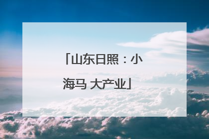 山东日照：小海马 大产业