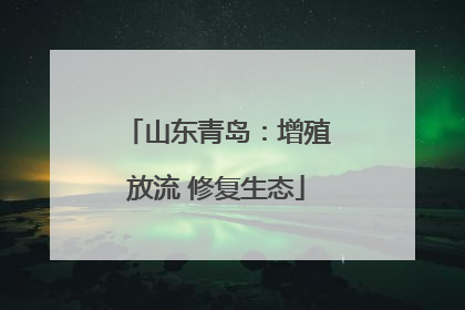 山东青岛：增殖放流 修复生态