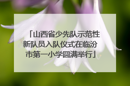 山西省少先队示范性新队员入队仪式在临汾市第一小学圆满举行
