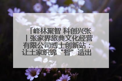 峰林聚智 科创兴张丨张家界旅典文化经营有限公司博士创新站：让土家织锦“智”造出非遗新传奇