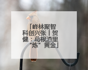 峰林聚智 科创兴张丨贺健：葛根渣里“炼”黄金