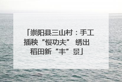 崇阳县三山村：手工插秧“慢功夫” 绣出稻田新“丰”景