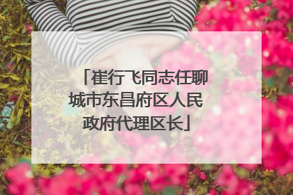 崔行飞同志任聊城市东昌府区人民政府代理区长