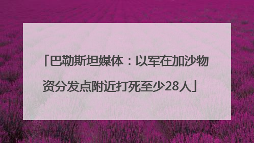 巴勒斯坦媒体:以军在加沙物资分发点附近打死至少28人