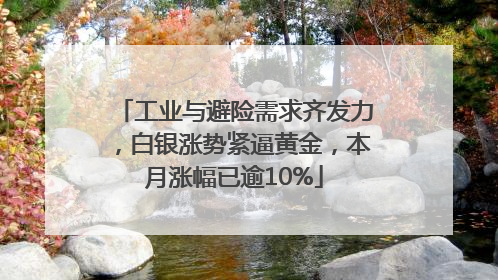 工业与避险需求齐发力，白银涨势紧逼黄金，本月涨幅已逾10%