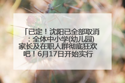 已定！沈阳已全部取消：全体中小学(幼儿园)家长及在职人群彻底狂欢吧！6月17日开始实行！18岁及以上可参加25年学历提升报名！