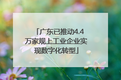广东已推动4.4万家规上工业企业实现数字化转型