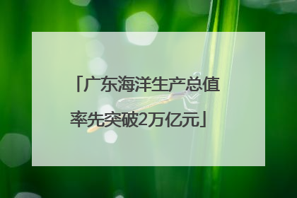 广东海洋生产总值率先突破2万亿元