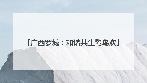 广西罗城：和谐共生鹭鸟欢
